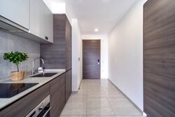 The Florence Residences (D19), Apartment #556660061